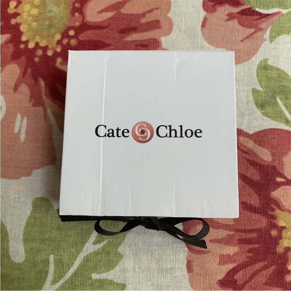 Cate & Chloe Silver Plated Cubic Zirconia Earrings - Picture 9 of 12